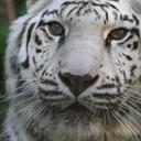 James Goodwill - @jamhnxx - Twitter