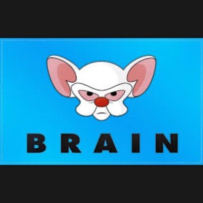 choppersheehan's profile picture. 