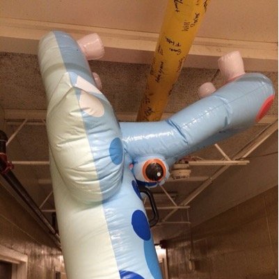 Oscar_The_Hippo's profile picture. Just your average Hippo living an average life