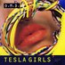 Tim (@teslagirls2) Twitter profile photo
