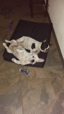 Judithweber1978's profile picture. Samenwonend, 2 kinderen. Voetbal 't Fean 58 en SC Heerenveen.