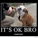 Helena Christopher - @cheetah7898 - Twitter