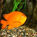 Beth & Fish @ LCDC - @LCDCfish - Twitter