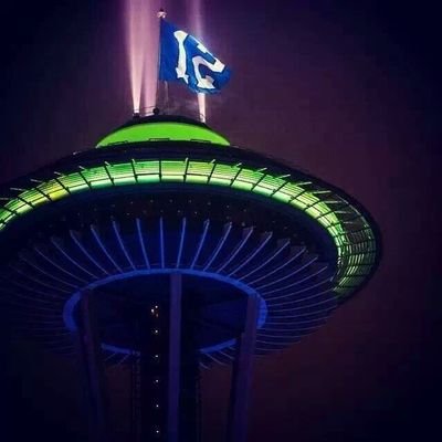 Seattle fan, sports fan, Seattle sports fan.