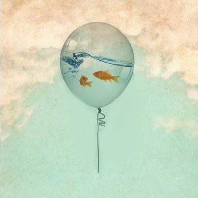 finnette09's profile picture. 