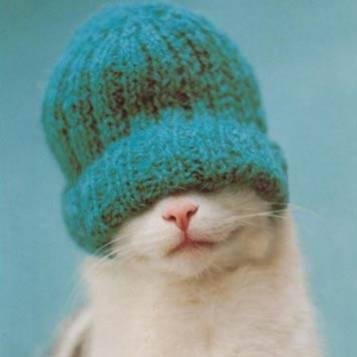 lunamea68's profile picture. Supporter de l'OL / Geek et passionné des nouvelles technologies