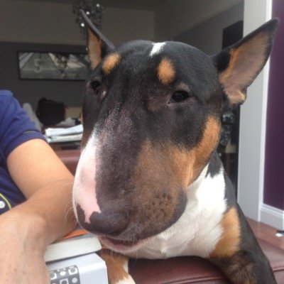 cox_Eddie's profile picture. 