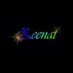Zeenat Sujee (@zeenatsujee) Twitter profile photo