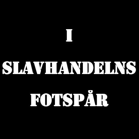 I slavhandelns fotspår är en stadsvandring som tagits fram av Afrosvenskarna för att öka kunskaperna om Sveriges del i den transatlantiska slavhandeln.