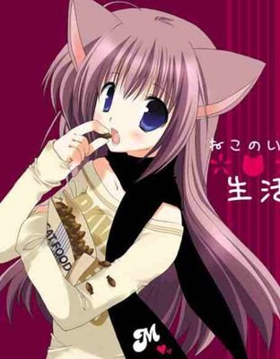 H-hi..im Cassy, im single and looking, i go to Rosetta High, im also looking for a brother.... #single #looking #female #furry