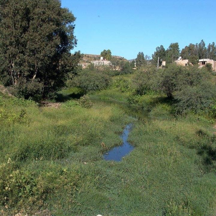 rrompope's profile picture. 