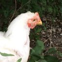 Anthony_Monroy_orteg - @Anthony_m1954 - Twitter