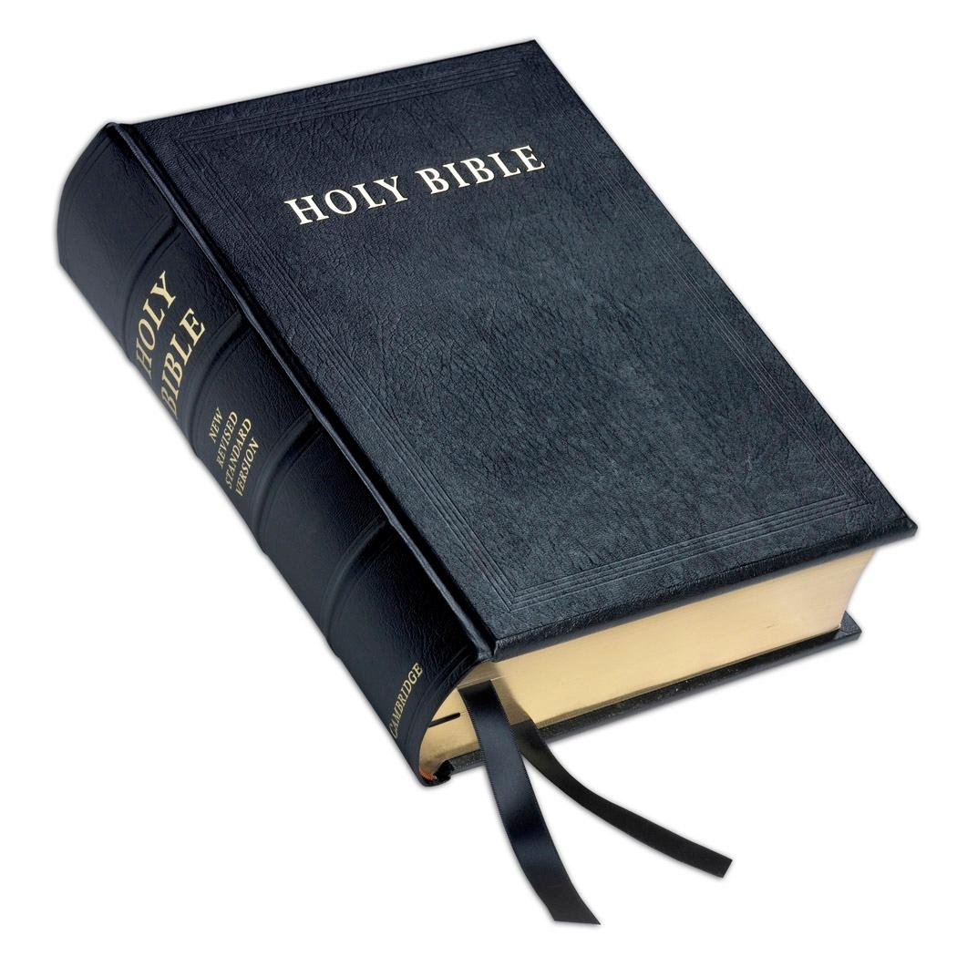Creationizer's profile picture. Trending news about Creationism as collected by Trendolizer