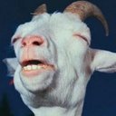 Will Dobbins - @wetturtle_88 - Twitter