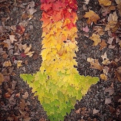 onr2208's profile picture. 