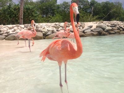 Dolar286's profile picture. 