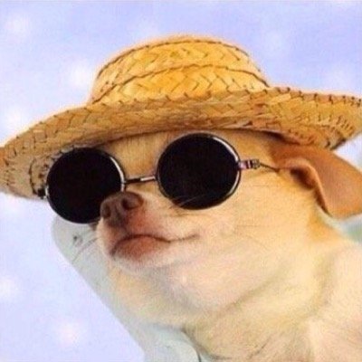 devinmcd's profile picture. 