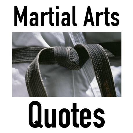 Daily martial arts inspiration. No matter what your martial arts style, we all share one thing: the quest for greatness!