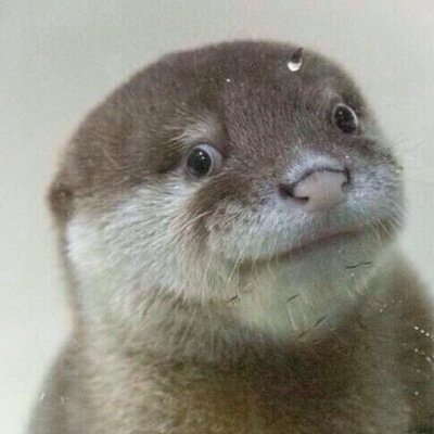 osu!をひたすらやっております。