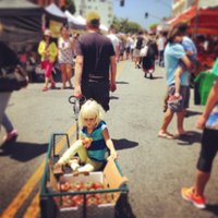 Farmers And Cooks (@muddyleek) 's Twitter Profile Photo