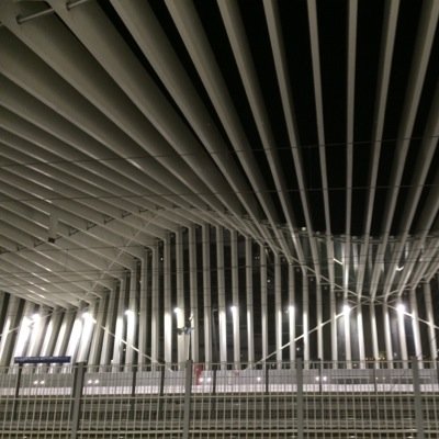Arte, Architettura, Designer, Topo di Biblioteca, Grafomane ...