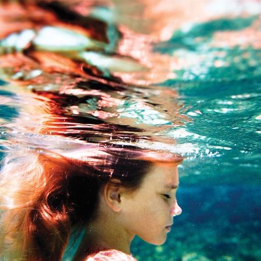 dbfks's profile picture. ?