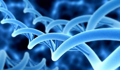 La technologie nous mène-t-elle vers la #PostHumanité ? Où veut-on aller ? Alvéole de l'#EcologieHumaine. #transhumanisme #cyborg #Singularity #NBIC