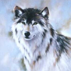 I am Mist,just another female lone wolf,i love the rain,Mystery girl.#Single,#RP Looking for someone i can trust,but i wont tell you every secret............