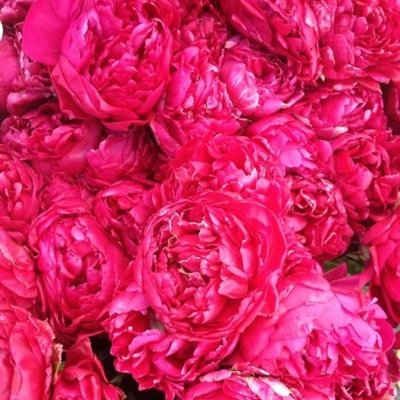 srwils11's profile picture. 