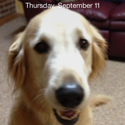 LindaHummer's profile picture. Educator interested in furthering students knowledge in making their technology use transparent.