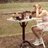 AnniePanties's profile image