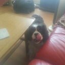 Christopher Gamble - @archery3552 - Twitter