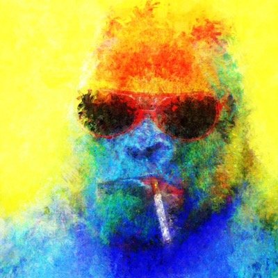 DMTrippie