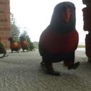 Cliff Huxtable - @_CliffHuxtable_ - Twitter