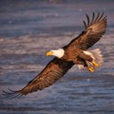 Rodney Wall - @eodtech12 - Twitter