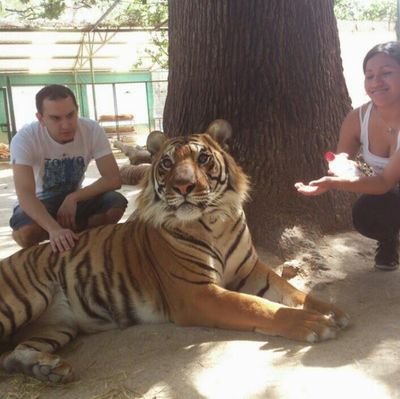 lucianoandres83's profile picture. Hola Twitter