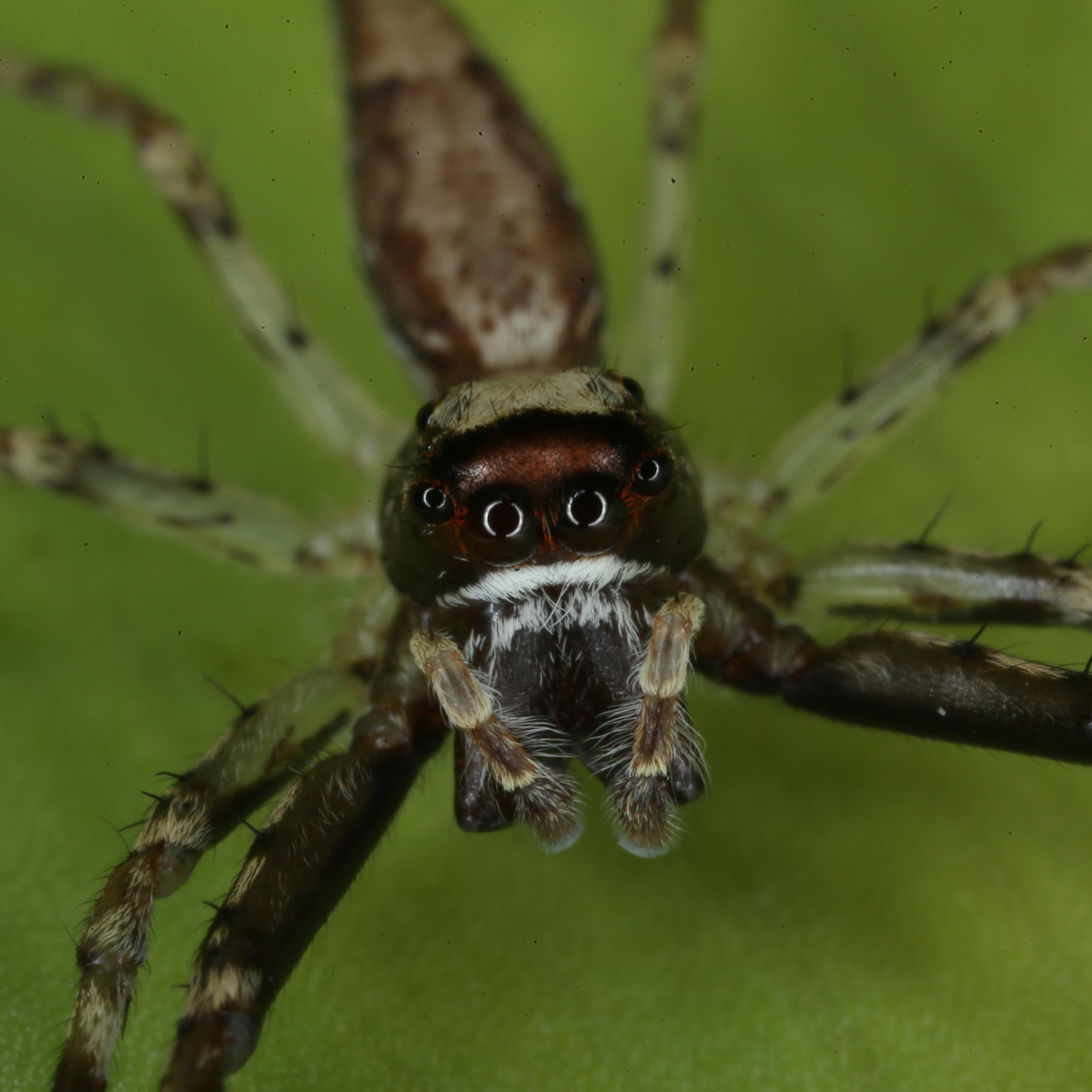 news corp photographer who likes snapping weather & bugs around Sydney