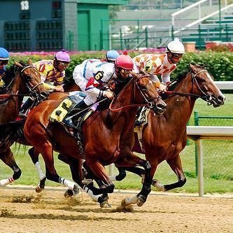 Hello! I created this account to help everyone pick the right horse. i have won over $50,000 since i began picking horses