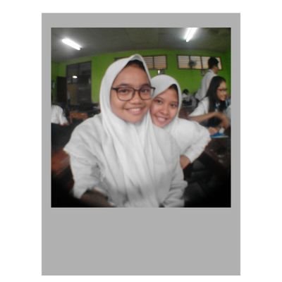Dix Sciales1({})