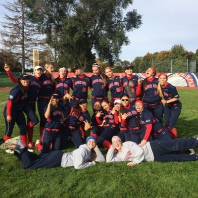 detroitsoftball's profile picture. 
