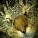 Dani - @DaniPayne72 - Twitter