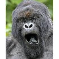 Inconceivablex's profile picture. Mind Blowing facts, Awesome videos and stories from around the world.           *do not own any images or videos*  Thank You Based God *