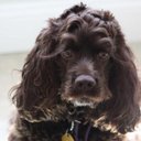 Gail Stein - @gailstein - Twitter