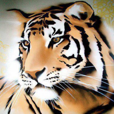 One Tiger Yoga, is a boutique yoga studio in Toronto that strives to provide an exceptional experience from start to finish.