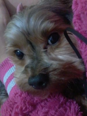 ola gente td bem