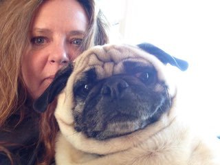 English Teacher, writer, reader, knitter, musician, Pug mom, dog lover and squirrel photographer!