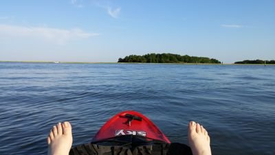 grindcore81751's profile picture. 