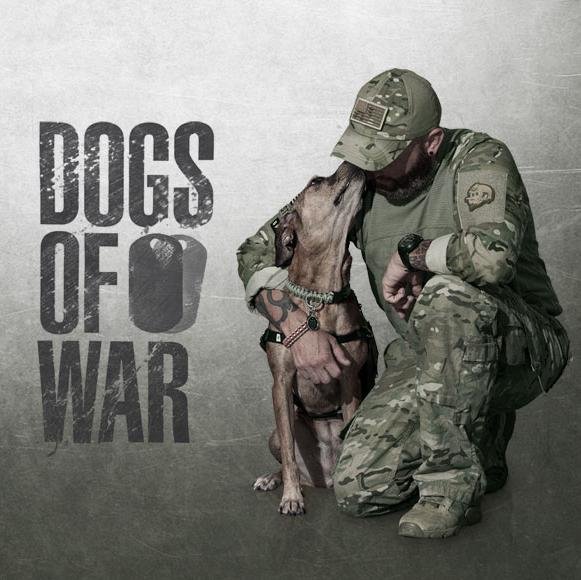 DogsofWarAETV's profile picture. The official Twitter account of @AETV's #DogsofWar | Veterans Day at 10/9c. | Like on: http://t.co/rjKaTFYJqE | Tweets By: @KevinWhite4Real