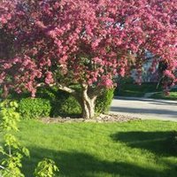 Irina Charania (@proudrrt) 's Twitter Profile Photo