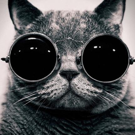 StoesselMariano's profile picture. 